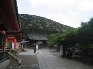 the beautiful scenery behind the shrine